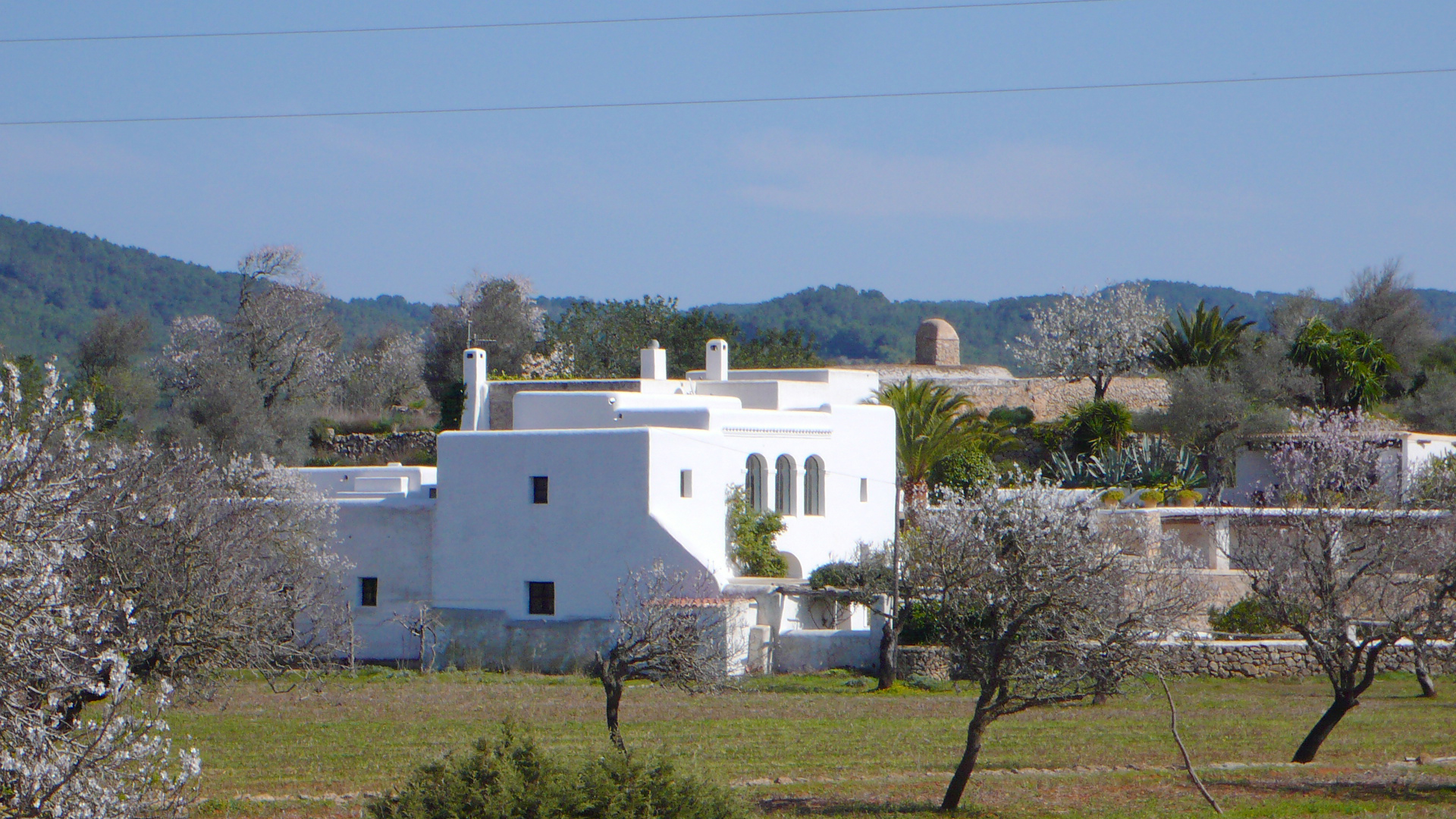 Traditionelles ibizenkisches Bauernhaus umgeben von Mandelbaeumen auf dem Land von Ibiza